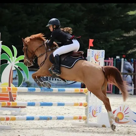 Superbe Pour Congres Au Coeur De * カンヌ