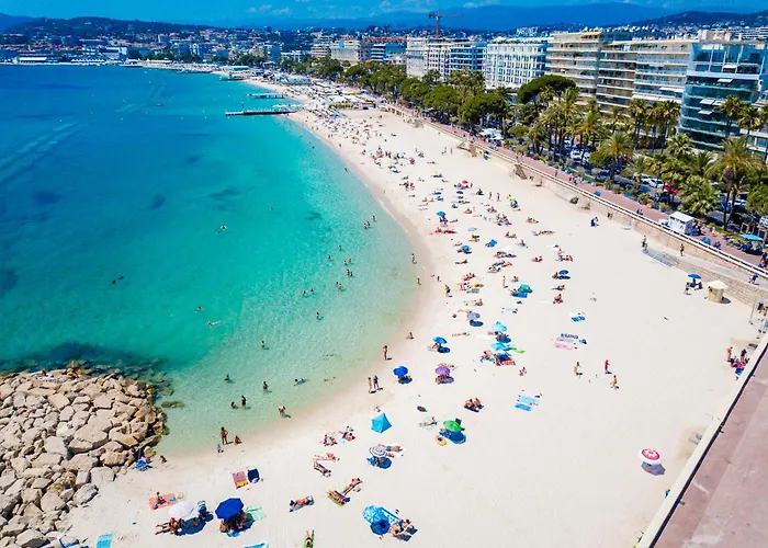Apartment Superbe Pour Congres Au Coeur De *