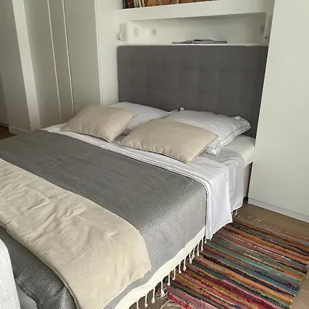 Apartment Superbe Pour Congres Au Coeur De