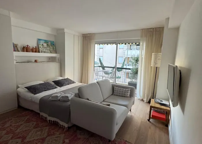 Superbe Pour Congres Au Coeur De Apartmán Cannes