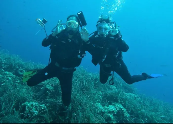 Superbe Pour Congres Au Coeur De Apartmán *